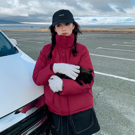 A Winter Warm Jacket