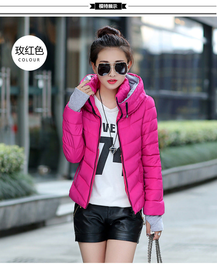 A Winter Warm Jacket