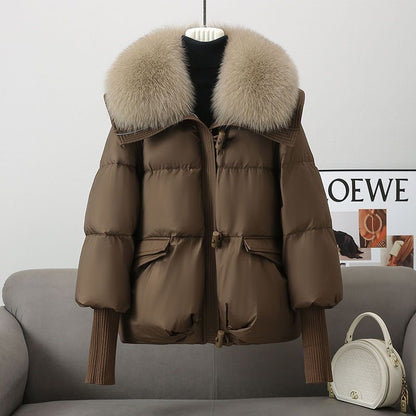 Winter Coat