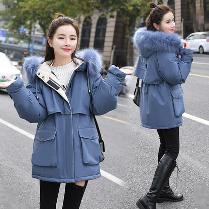 ZY-006 Parker cotton clothes women's medium and long 2024 winter - Mixbatch