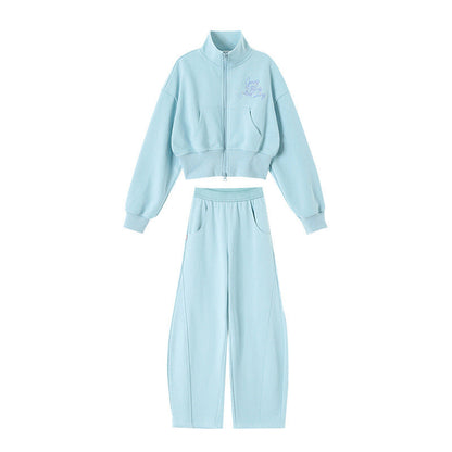 B2-m27 Spring new children's cotton stand-up collar zipper sweater sweatpants set - Mixbatch