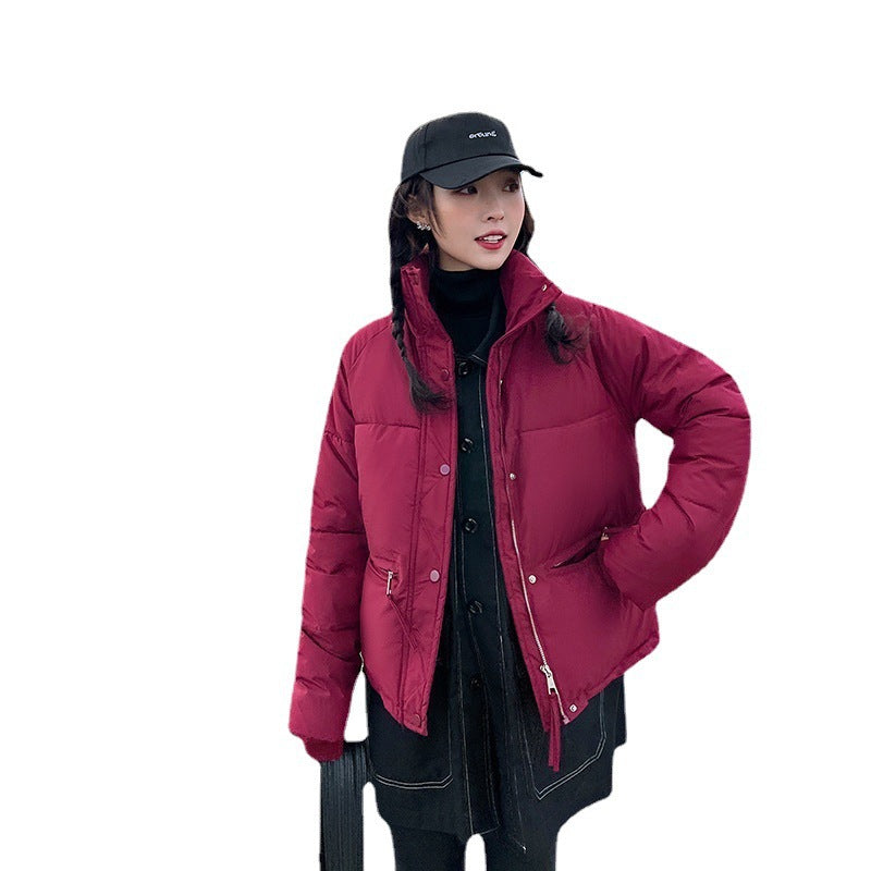 A Winter Warm Jacket