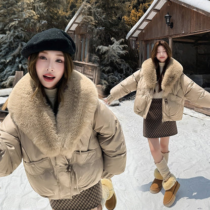 A Winter Warm Jacket