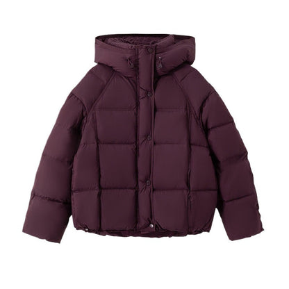 A Winter Warm Jacket