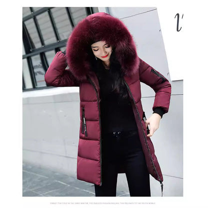 A Winter Warm Jacket