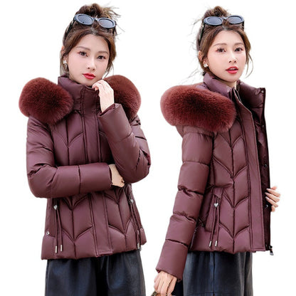 A Winter Warm Jacket