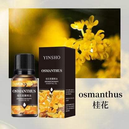 A Fireless aromatherapy essential oil for household air freshening and water-soluble humidifiers