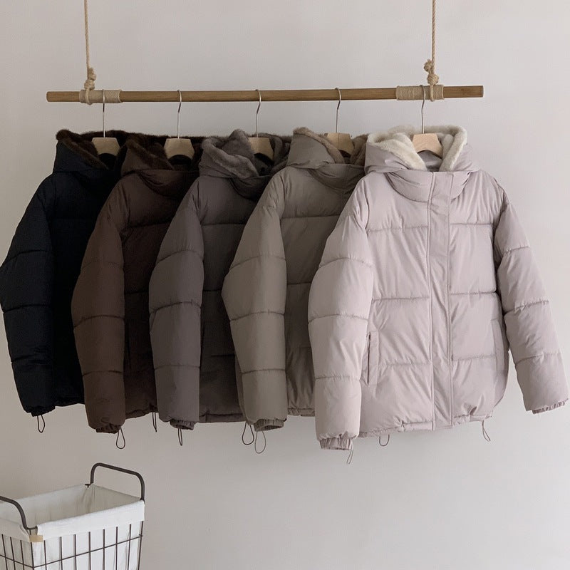 A Winter Warm Jacket