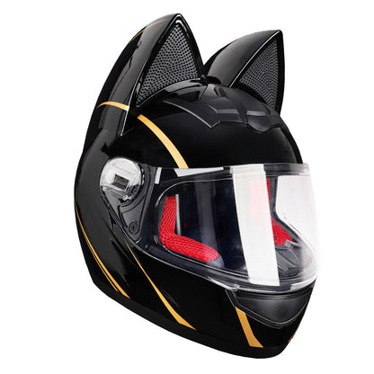 Motorcycle Helmet